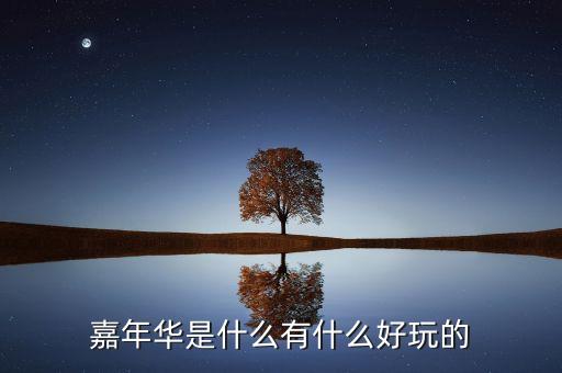 人生嘉年华什么意思，一些娱乐节目和影视剧中的嘉年华是什么意思