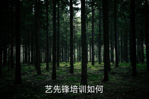 艺先锋培训如何