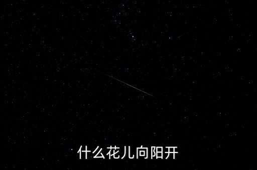 什么花儿向阳开