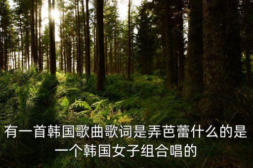 有一首韩国歌曲歌词是弄芭蕾什么的是一个韩国女子组合唱的