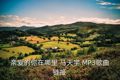 亲爱的你在哪里广场舞王子下载，马天宇亲爱的你在哪里的链接不要含或者的