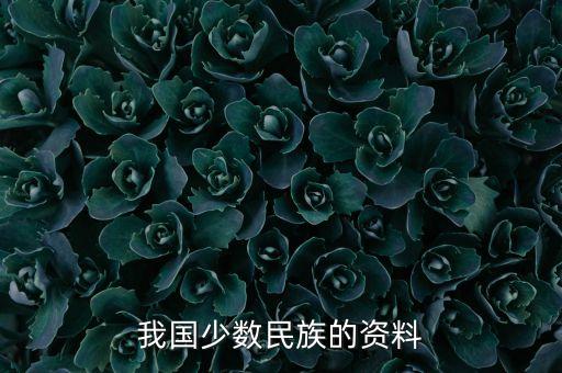 我国少数民族的资料