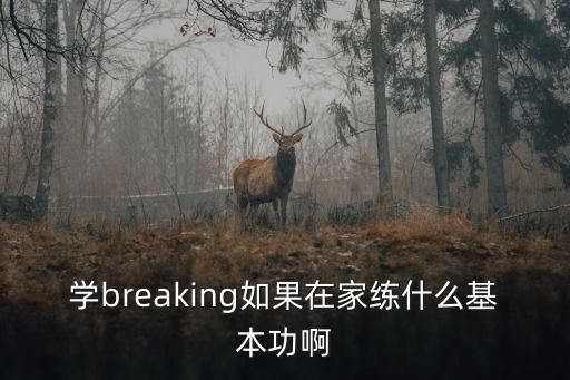学breaking如果在家练什么基本功啊