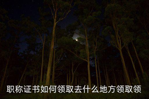 职称证书如何领取去什么地方领取领