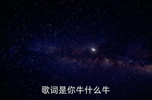 歌词是你牛什么牛