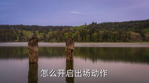 怎么开启出场动作