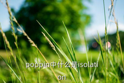 poppin中什么是isolation