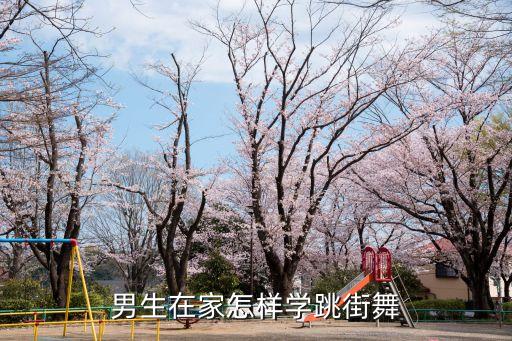 男人跳的舞蹈教学视频，男生的舞蹈