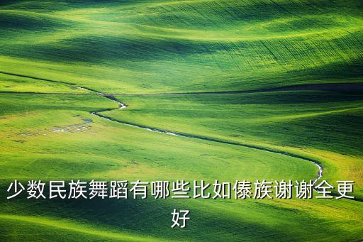 少数民族舞蹈有哪些比如傣族谢谢全更好