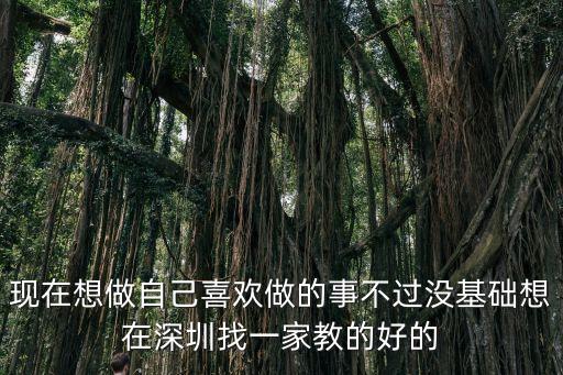 现在想做自己喜欢做的事不过没基础想在深圳找一家教的好的