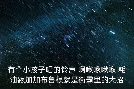 有个小孩子唱的铃声 啊啾啾啾啾 耗油跟加加布鲁根就是街霸里的大招