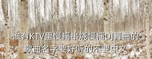 谁有KTV里慢摇串烧慢摇DJ舞曲的歌曲名字要好听的不要中文