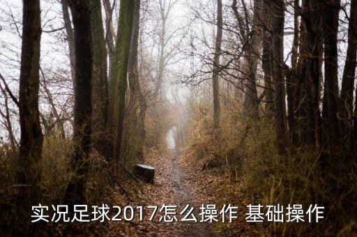 实况足球2017怎么操作 基础操作