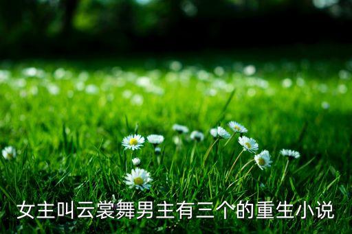 女主叫云裳舞男主有三个的重生小说