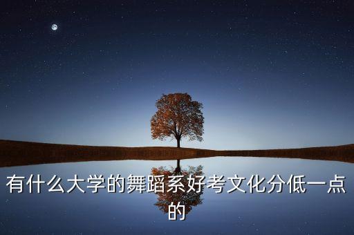 有什么大学的舞蹈系好考文化分低一点的