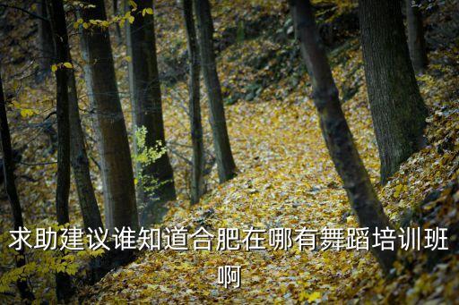 求助建议谁知道合肥在哪有舞蹈培训班啊