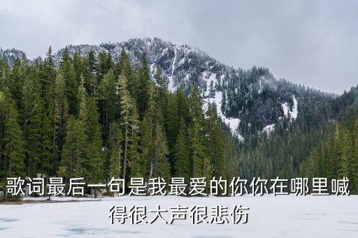 歌词最后一句是我最爱的你你在哪里喊得很大声很悲伤