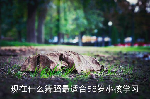 现在什么舞蹈最适合58岁小孩学习