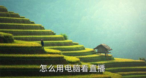 怎么用电脑看直播