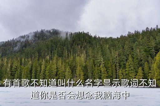 有首歌不知道叫什么名字显示歌词不知道你是否会想念我脑海中