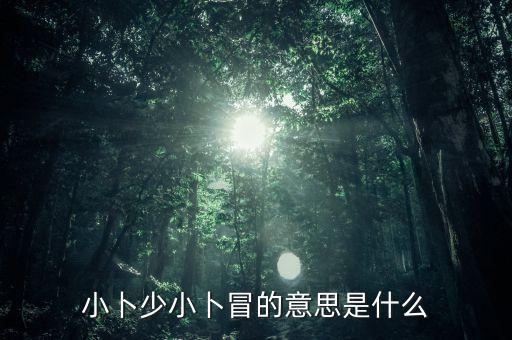 小卜少舞蹈教的是什么，傣族舞小卜少中小卜少是什么意思