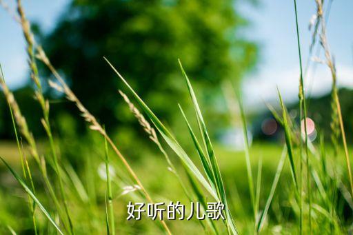 好听的儿歌