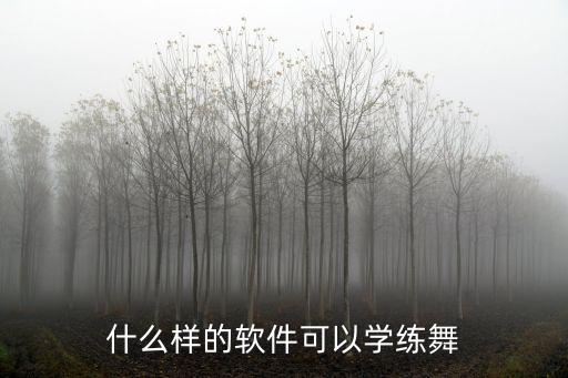 什么样的软件可以学练舞