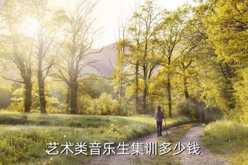 艺术类音乐生集训多少钱