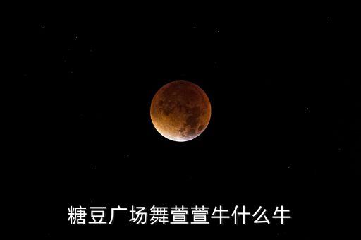 糖豆广场舞萱萱牛什么牛
