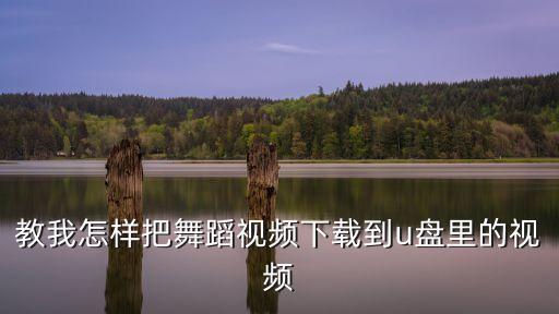 教我怎样把舞蹈视频下载到u盘里的视频