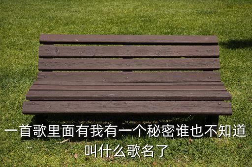 一首歌里面有我有一个秘密谁也不知道叫什么歌名了