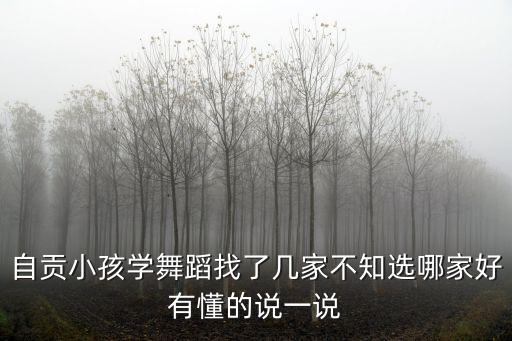 自贡小孩学舞蹈找了几家不知选哪家好有懂的说一说