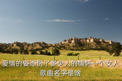 爱情的姿态伤了多少人的情怀一个女人歌曲名字是啥