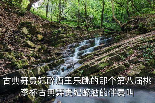 古典舞贵妃醉酒王乐跳的那个第八届桃李杯古典舞贵妃醉酒的伴奏叫