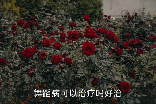 舞蹈病怎么治疗，舞蹈病可以治疗吗