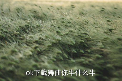 ok下载舞曲你牛什么牛