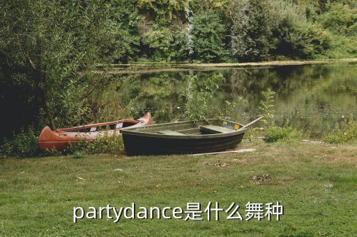 partydance是什么舞种