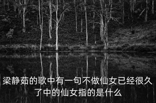妹妹不做仙女表达什么爱情，梁静茹的歌瘦瘦的里面不当仙女已经很久了是什么意思啊