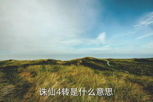 四位转是什么意思啊，诛仙4转是什么意思