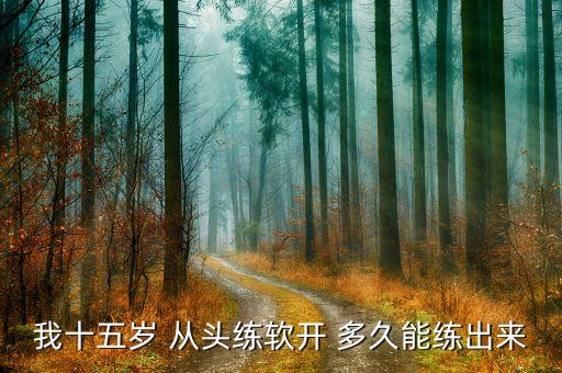 我十五岁 从头练软开 多久能练出来
