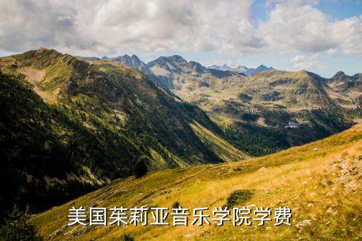 美国茱莉亚音乐学院学费