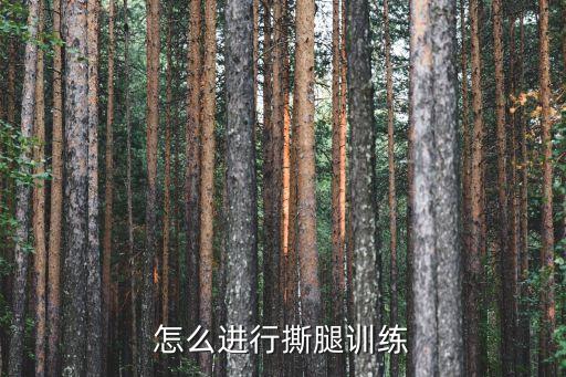 自己撕腿怎么撕哭，怎么进行撕腿训练