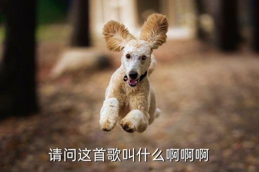 歌词赞赞赞是什么歌，赞赞赞小春推荐这歌叫什么名字啊