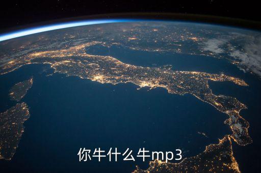 你牛什么牛mp3