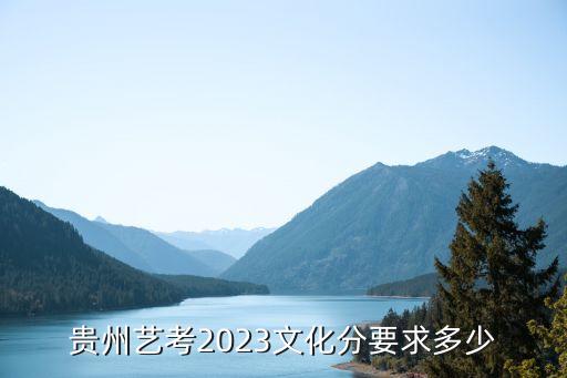 贵州艺考2023文化分要求多少