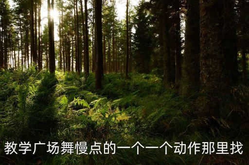 教学广场舞慢点的一个一个动作那里找