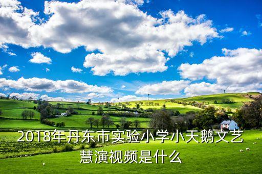 2018年丹东市实验小学小天鹅文艺慧演视频是什么