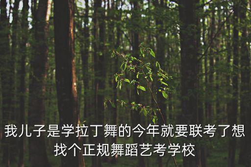 拉丁舞艺考培训学校，我儿子是学拉丁舞的今年就要联考了想找个正规舞蹈艺考学校
