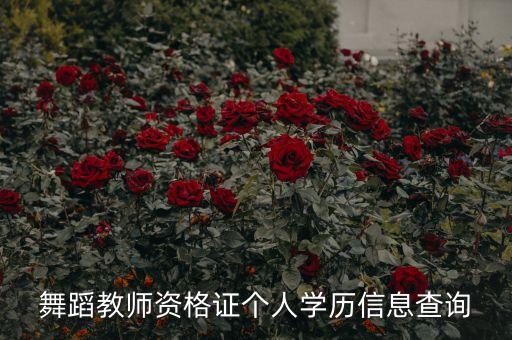 舞蹈教师资格证个人学历信息查询