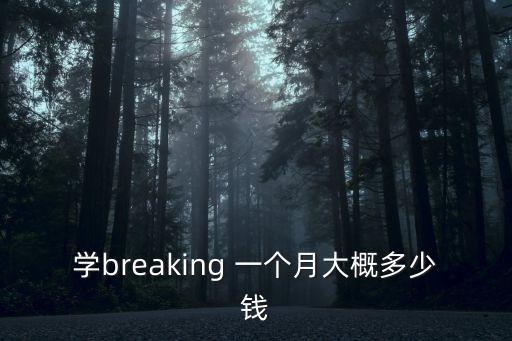 学breaking 一个月大概多少钱